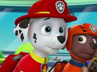 Paw Patrol - Helfer auf vier Pfoten