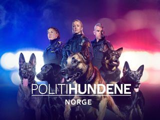 Police Dogs