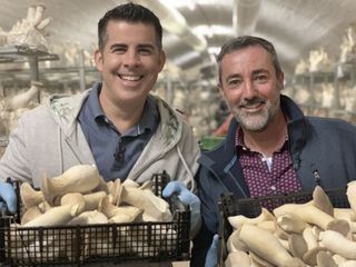 Exotische Pilze und suesse Kartoffeln - ein extravagantes Menue!