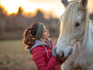 Dodo Heroes - Aus Liebe zu Tieren