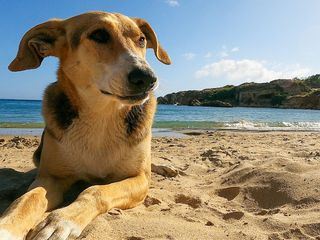 Der Strand