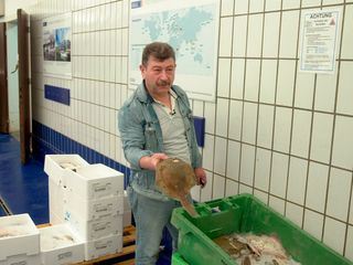 Hamburg erwacht