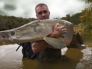 Die letzten Giganten: Riesenfische