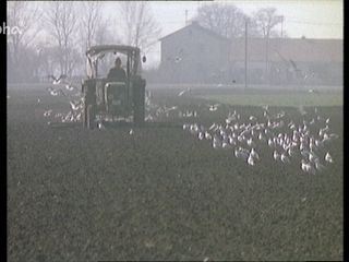 Bayerischer Kalender