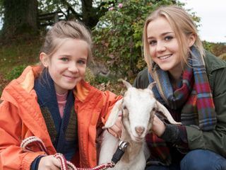 Tiere bis unters Dach