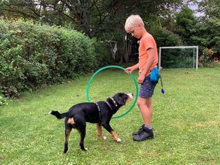 Liebste Fellnasen - Abenteuer Hundeschule