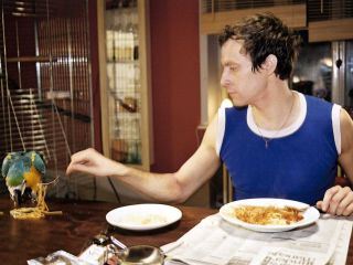 Sind denn alle netten Maenner schwul