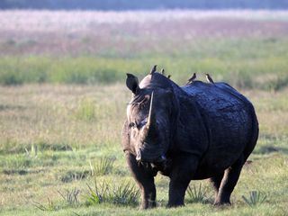 Juwel der Elefantenkueste - Afrikas Wunderland Isimangaliso