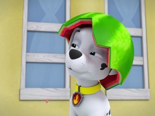 Paw Patrol - Helfer auf vier Pfoten
