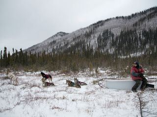 Life Below Zero - Überleben in Alaska Life Below Zero - Überleben in Alaska