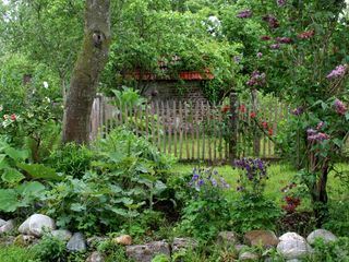 Geheimnisvoller Garten