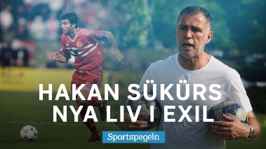 Sportspegeln