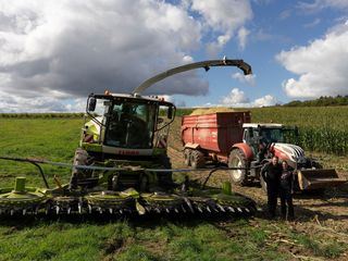 Werner & Robby retten die Ernte