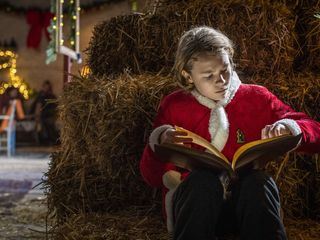 Der Waechter des Zauberwaldes