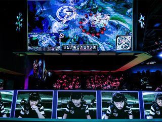 Modern Day Gladiators