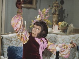 Flucht vom Planet der Affen Flucht vom Planet der Affen