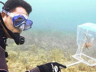 Fish Tank Kings - Gigantische Wasserwelten