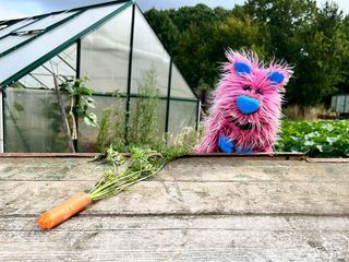Toggolino - Die Show mit Muhpidu! Toggolino - Die Show mit Muhpidu!