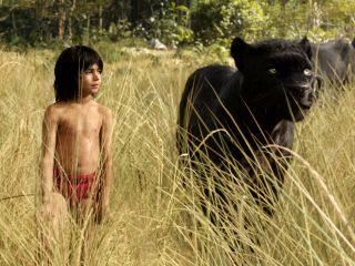 The Jungle Book