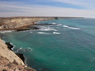 Wildes Lateinamerika