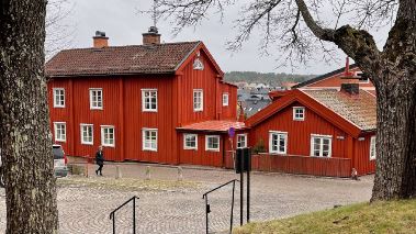 Det sitter i vaeggarna