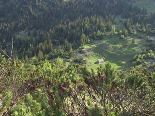 Urwald der Alpen - Wildnisgebiet Duerrenstein