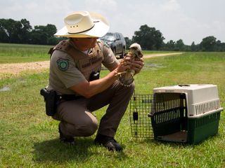 Lone Star Law - Die Gesetzeshueter von Texas