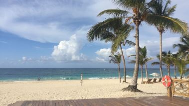 Caribbean Life – Traumhaus gesucht