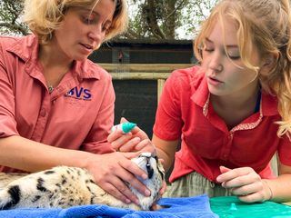 Nina und die wilden Tiere