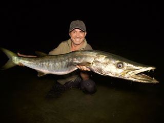 Giganten unter Wasser - Riesenfischen auf der Spur Giganten unter Wasser - Riesenfischen auf der Spur