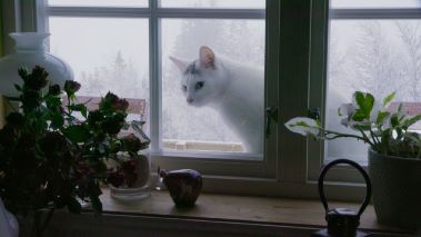 Daer ingen skulle tro att någon kunde bo: Vinterstunder