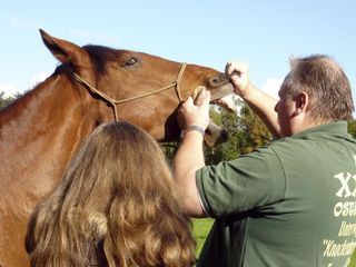 Der XXL-Ostfriese - Unterwegs mit Knochenbrecher Tamme Hanken