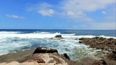Island Life - Traumhaus gesucht