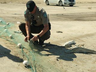 Lone Star Law - Die Gesetzeshueter von Texas