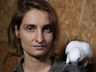 Die Superkraefte der Tiere