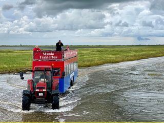 Die daenischen Wattenmeerinseln - Rømø, Fanø und Mandø