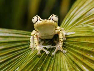 Gute Nachrichten vom Planeten