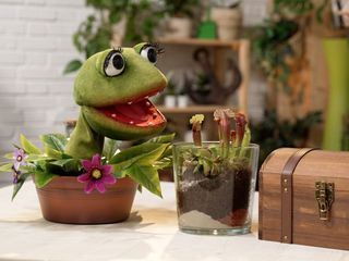 Die Gartenpiraten