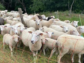 Seitenwechsel - Die Welt mit anderen Augen sehen