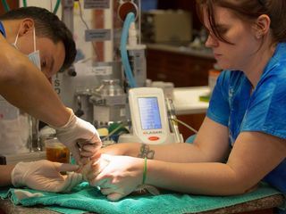 Dr. Ks tierische Notaufnahme Dr. Ks tierische Notaufnahme