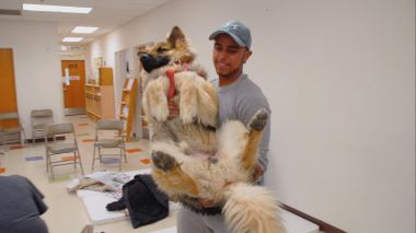 Tierarzt Dr. Jeff - Der Rocky Mountain Doc