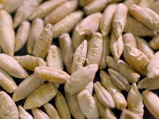 Österreich-Bild am Feiertag aus dem Landesstudio Oberoesterreich