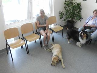 Hautnah: Die Tierklinik