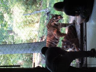 Bronx Zoo - Tierpark der Superlative