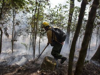 Wetterwahnsinn Weltweit