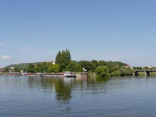 Wildes Regensburg - Tiergeschichten aus der alten Stadt