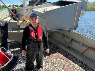 Re: Fischer gegen Robben