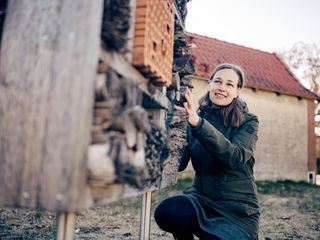 Bares fuer Rares - Haendlerstuecke