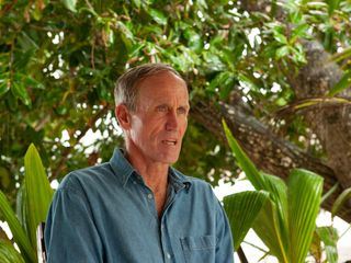 Haie auf Angriff Haie auf Angriff