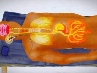 Vagus - Der Anti-Stress-Nerv